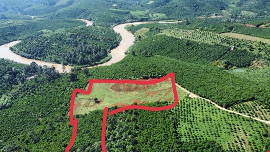 Đất vườn cảnh đồi đẹp xã Lộc Nga, tp Bảo Lộc giá 1 tỷ 250 /1 sào
