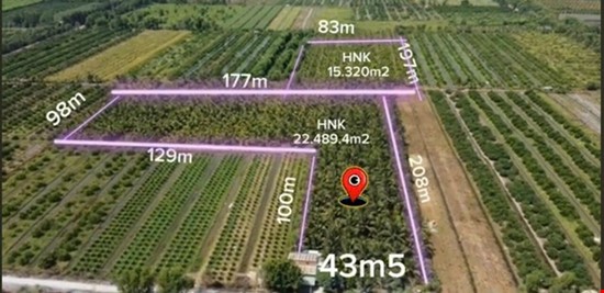 4 mẫu đất trồng dừa xiêm xã Thạnh Lợi, Bến Lức, Long An giá 15,5 tỷ